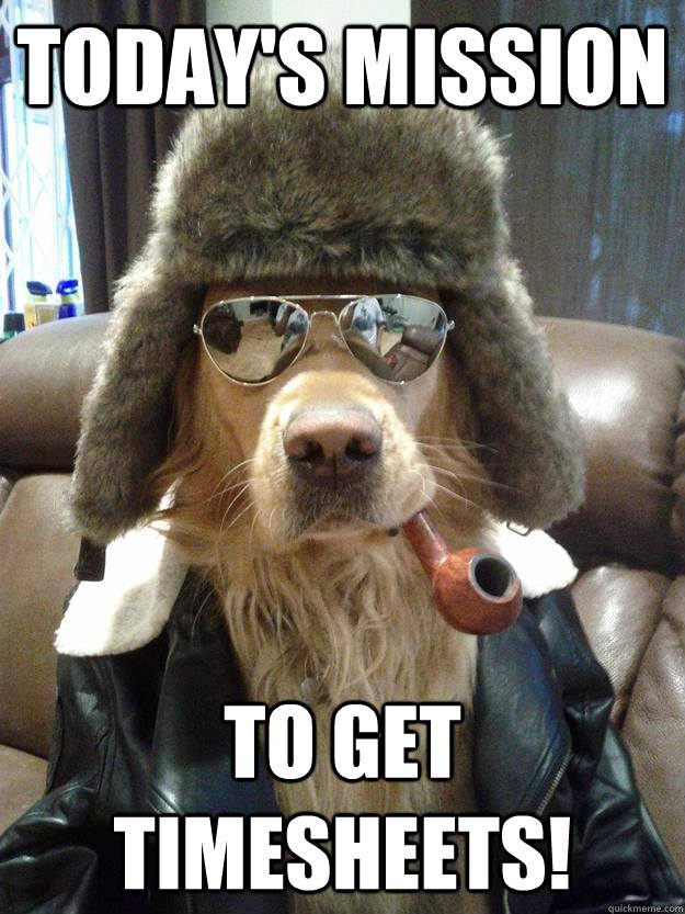 top timesheet memes to meet the payroll deadline top timesheet memes to meet the payroll deadline