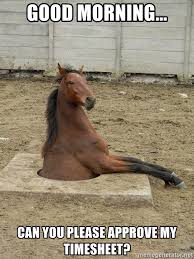 top timesheet memes to meet the payroll deadline top timesheet memes to meet the payroll deadline