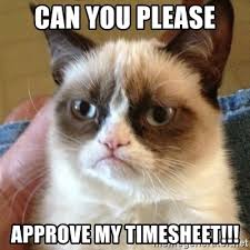 top timesheet memes to meet the payroll deadline top timesheet memes to meet the payroll deadline