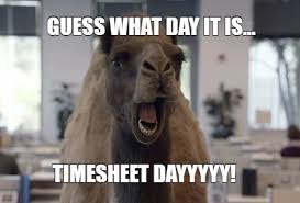 top timesheet memes to meet the payroll deadline top timesheet memes to meet the payroll deadline