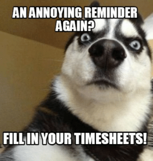 top timesheet memes to meet the payroll deadline top timesheet memes to meet the payroll deadline