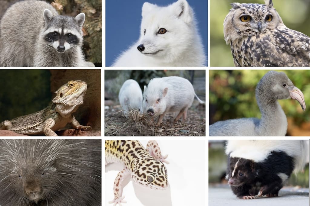 21 remote team building activities that aren’t awkward (2025)