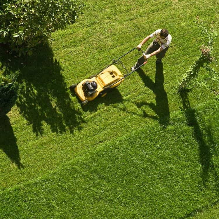 the definitive guide to lawn care scheduling apps for non‑profit & volunteer programs