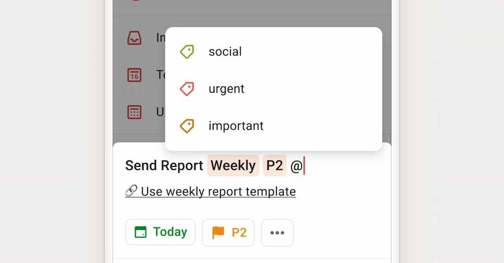 todoist for project management: features, capabilities & time tracking 2025