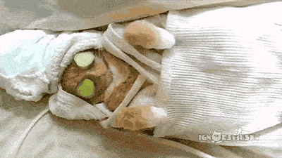 spa employee management software in 2025: the complete guide to salon & spa staff scheduling