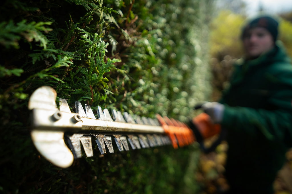 landscape time tracking